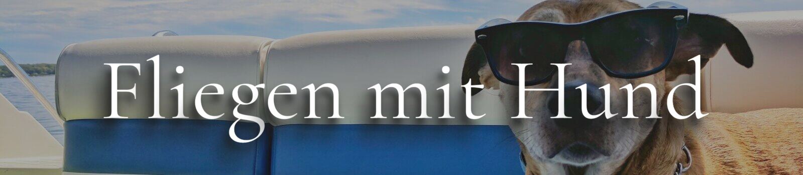 Fliegen mit Hund Banner